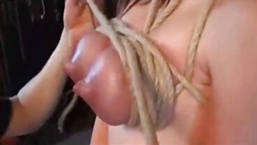 Vis rasée avec la cornée Mickey Tyler de Reality video amateur sex gratuit Kings